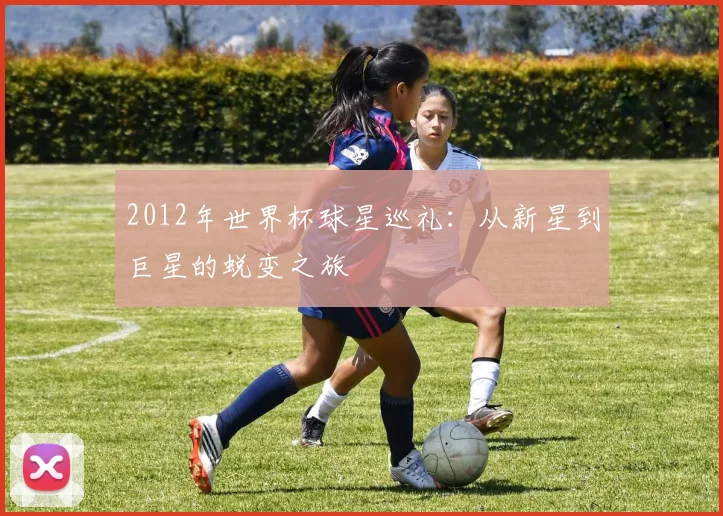2012年世界杯球星巡礼：从新星到巨星的蜕变之旅